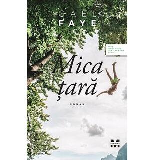 Mica țară