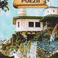 Copertă produs Poezii - gallery small 