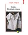 Copertă produs Iluziile literaturii rom&acirc;ne - thumb 1