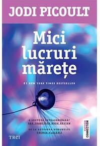 Copertă produs Mici lucruri mărețe