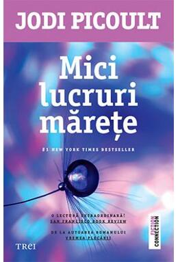 Copertă produs Mici lucruri mărețe