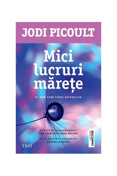 Mici lucruri mărețe