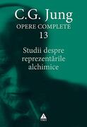 Studii despre reprezentările alchimice (Vol. 13)