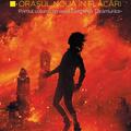 Copertă produs Orașul Nouă &icirc;n flăcări (Vol. 1) - gallery small 