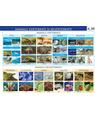 Copertă produs Animale vertebrate și nevertebrate - Planșă educativă - thumb 1