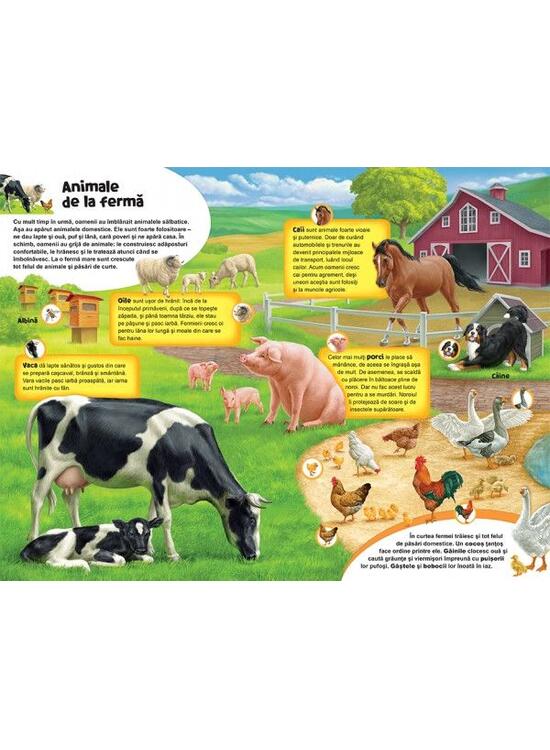Copertă produs Marea enciclopedie a animalelor - gallery big 2