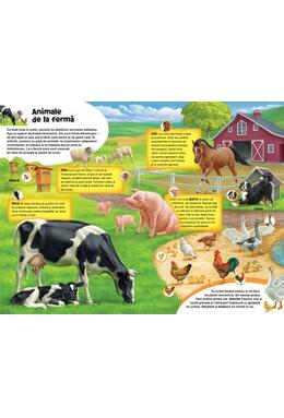 Copertă produs Marea enciclopedie a animalelor