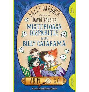Misterioasa dispariție a lui Billy Cataramă