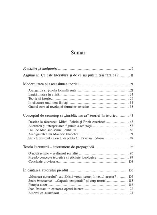 Copertă produs Frumoasa necunoscută. Literatura şi paradoxurile teoriei - gallery big 3