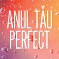 Copertă produs Anul tău perfect - gallery small 