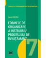 Copertă produs Formele de organizare a instruirii/ Procesului de &icirc;nvățăm&acirc;nt (Vol. 7) - thumb 1