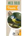 Copertă produs Micul biolog - Păsări - thumb 1