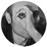 Marcel Manea