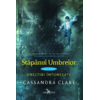 Copertă produs Stăp&acirc;nul umbrelor (Vol. 2)