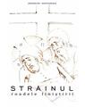Copertă produs Străinul - roadele liniștirii - thumb 1