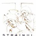 Copertă produs Străinul - roadele liniștirii - gallery small 