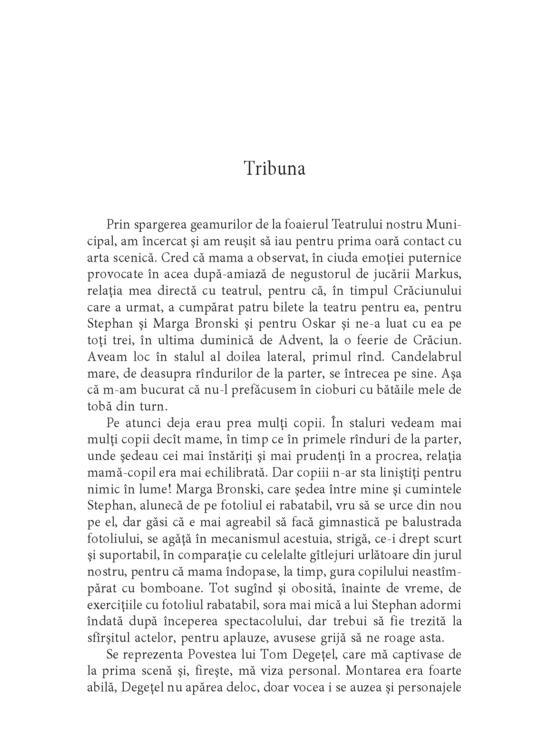Copertă produs Toba de tinichea - gallery big 7