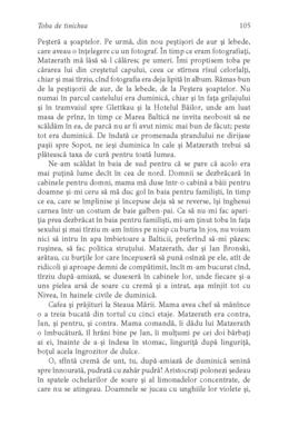 Copertă produs Toba de tinichea