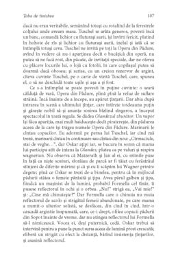 Copertă produs Toba de tinichea