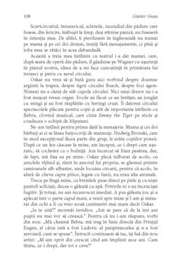 Copertă produs Toba de tinichea