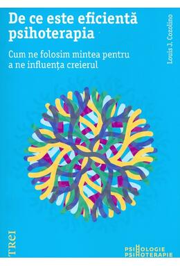 Copertă produs De ce este eficientă psihoterapia