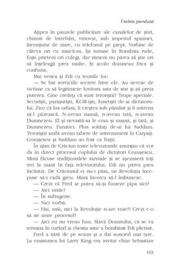 Copertă produs Umbra pierdută