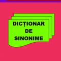 Copertă produs Dicționar de Sinonime - gallery small 