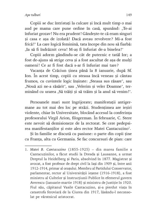 Copertă produs Petru Bogdan (1873-1944). Savantul, profesorul şi cetatea - gallery big 7
