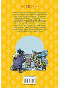 Copertă produs Sylvie şi Bruno