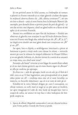 Copertă produs Sylvie şi Bruno
