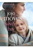 Imagine produs Silver Bay