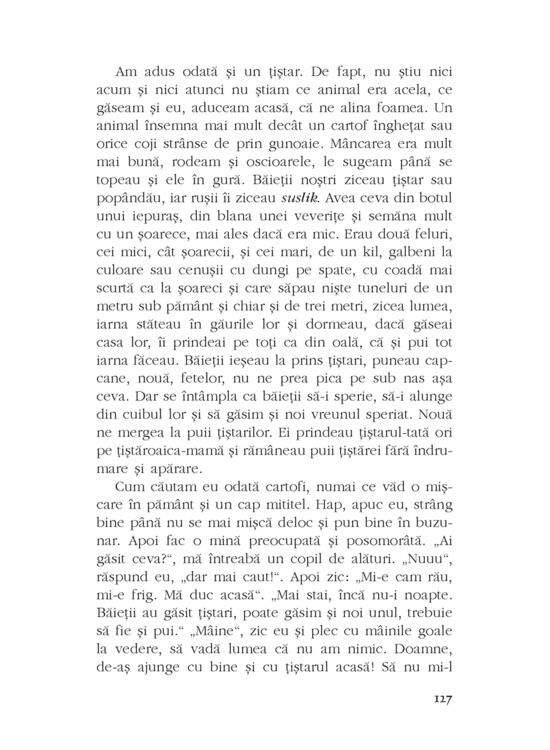 Copertă produs Capătul drumului - gallery big 6