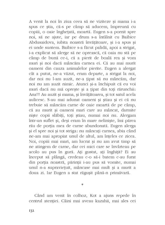 Copertă produs Capătul drumului - gallery big 11