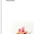 Copertă produs Vita brevis - gallery small 