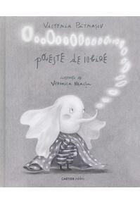 Copertă produs O poveste de iubire