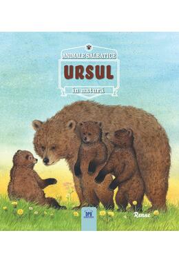 Copertă produs Ursul