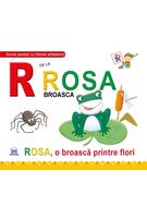 R de la Rosa, Broasca