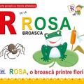 Copertă produs R de la Rosa, Broasca - gallery small 