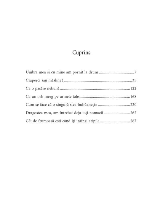 Copertă produs Cineva cu care să fugi de acasă - gallery big 3