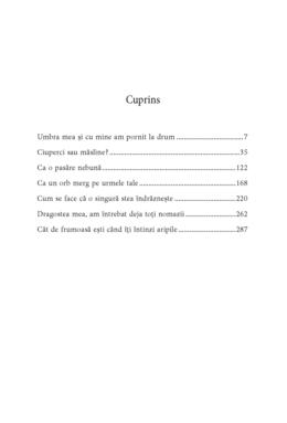 Copertă produs Cineva cu care să fugi de acasă