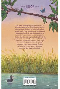 Copertă produs Aventurile lui Pipì, maimuţica roz