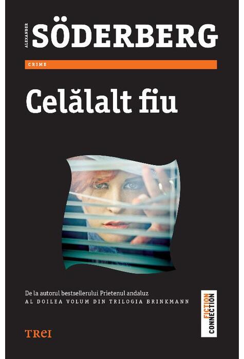Copertă produs Celălalt fiu