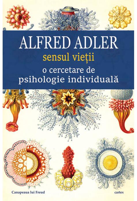 Copertă produs Sensul vieții o cercetare de psihologie individuală