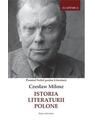 Copertă produs Istoria Literaturii Polone - thumb 1