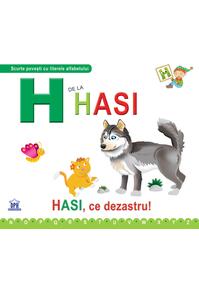 Copertă produs H de la Hasi