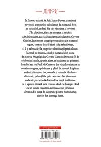 Copertă produs Lumea vazută de Bob