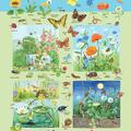 Copertă produs Planșă -  Fauna și flora din c&acirc;mpie - gallery small 