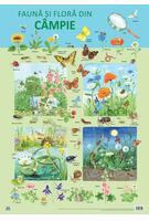 Copertă produs Planșă -  Fauna și flora din c&acirc;mpie