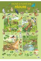 Copertă produs Planșă -  Fauna și flora din pădure