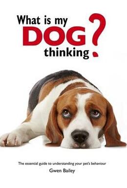 Copertă produs What is my Dog Thinking? : The essential guide to understanding your pet